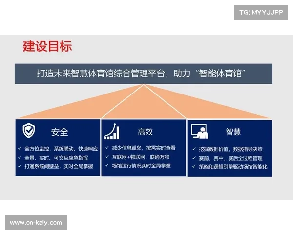 体育管理机构当前阶段强化数据治理，构建从注册到参赛的全流程数字化平台