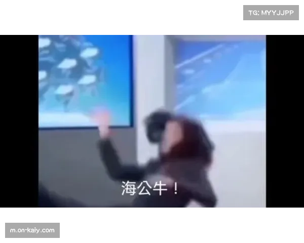 虎扑创作者分享NBA-五绝-梗图创作心得，融合金庸武侠元素