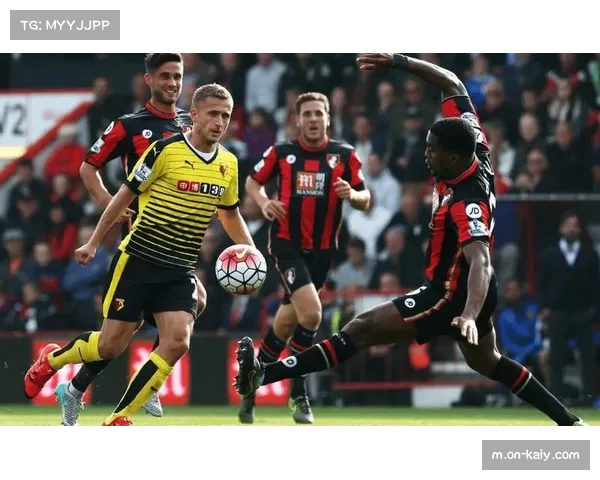 英超第29轮：伯恩茅斯对阵布伦特福德